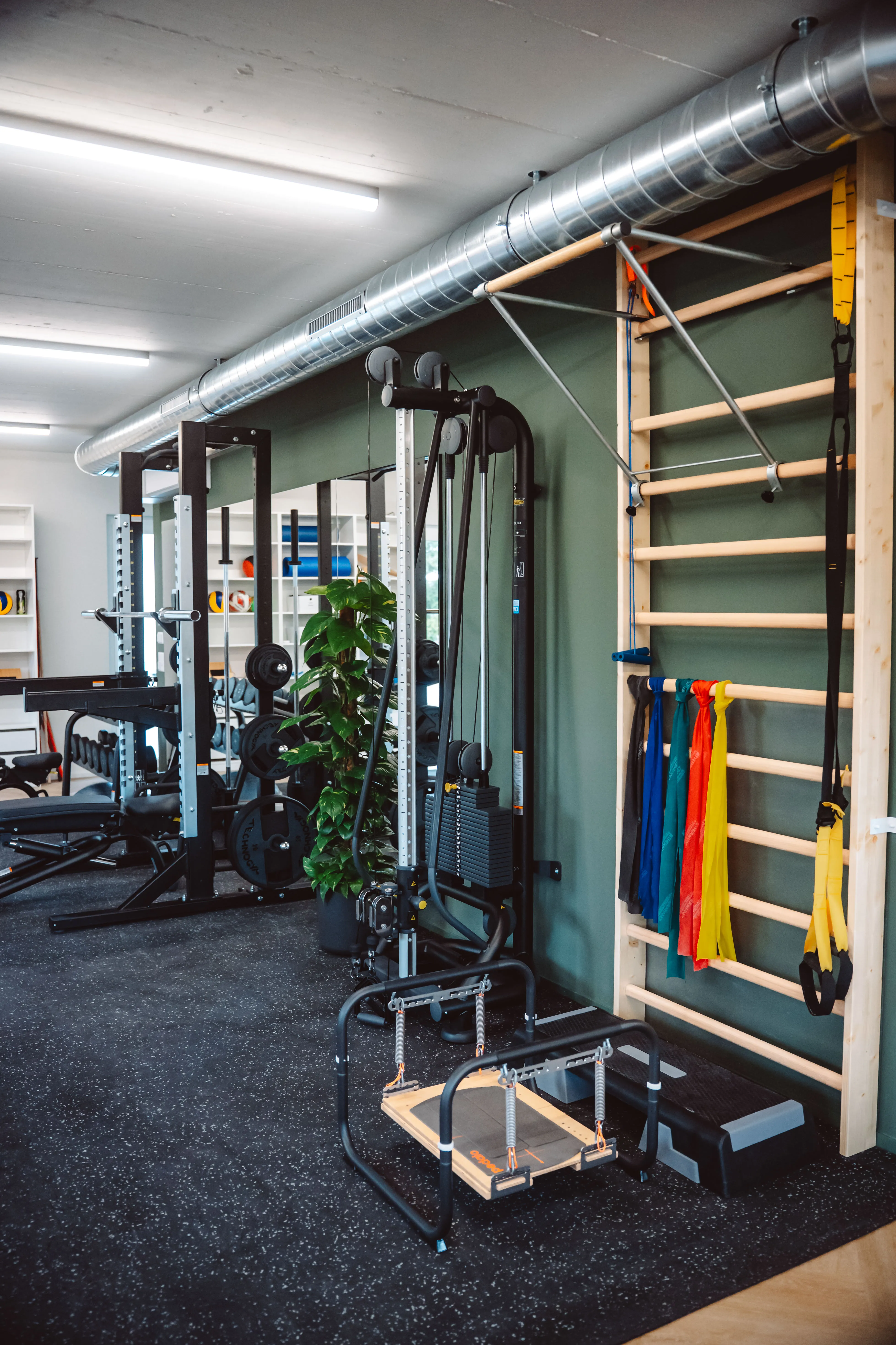 Flow Physio Praxis