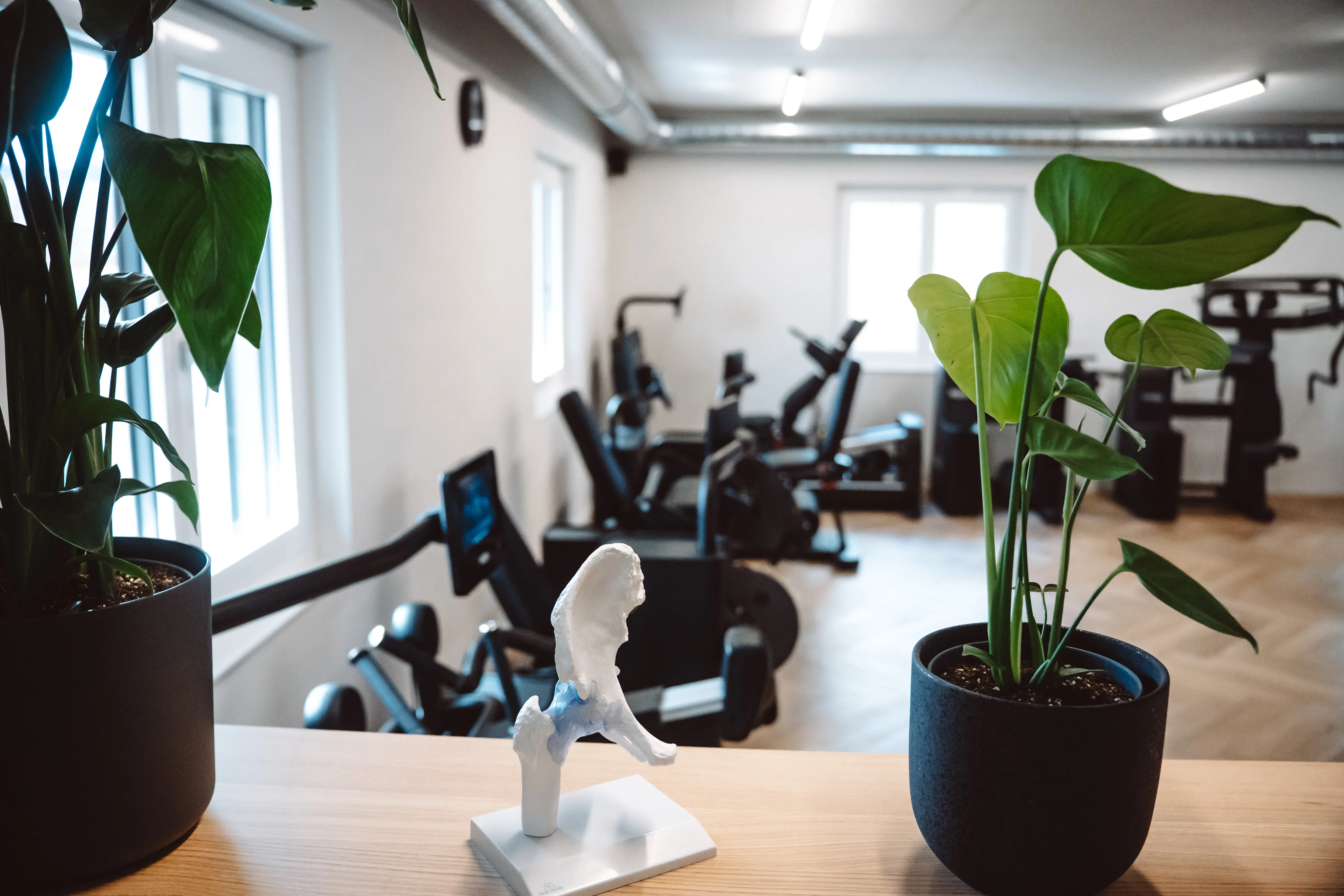 Flow Physio Praxis